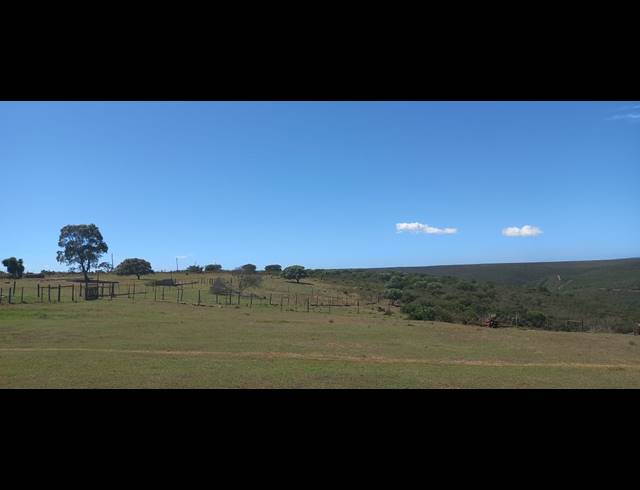 9HA FARM FOR SALE IN UITENHAGE CENTRAL